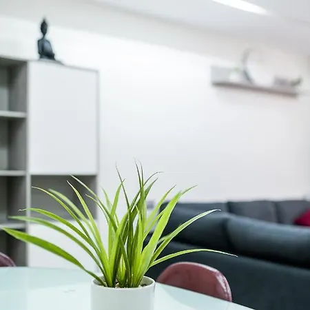 Apartment Moderno Centro Granada